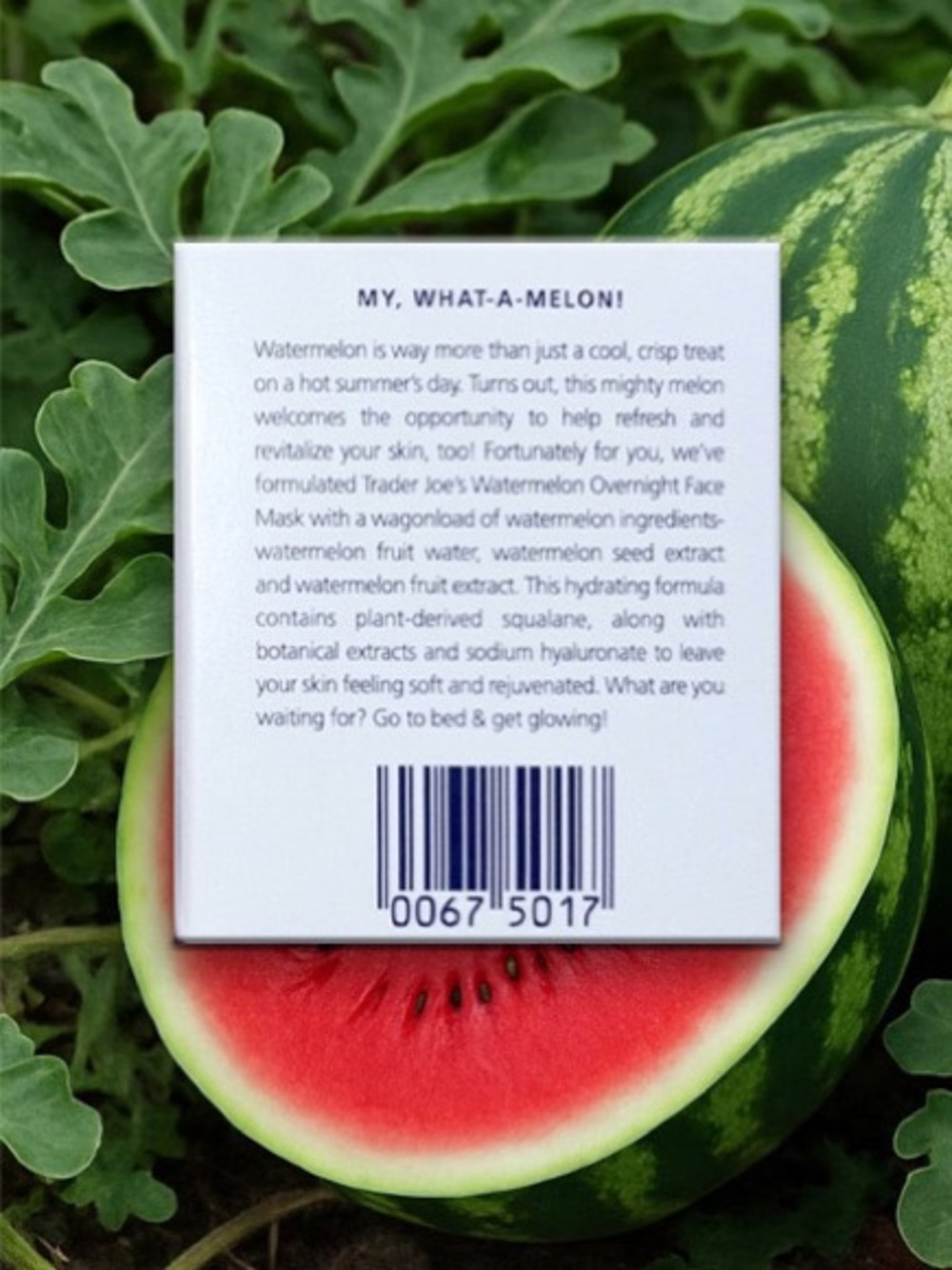 Trader Joe's Watermelon Overnight Face Mask — Pink - Picture 5 of 9